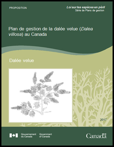 Photo de couverture de document