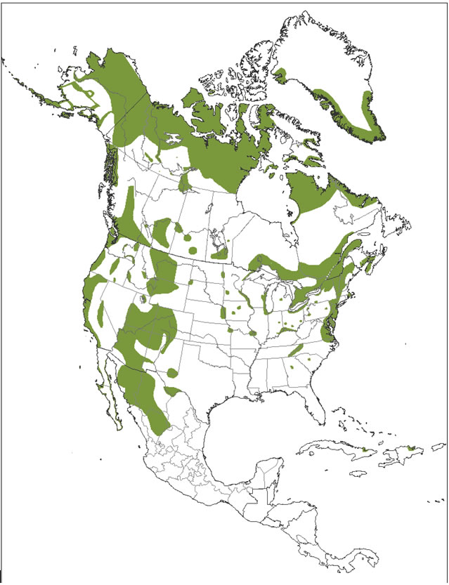 Breeding range of the Peregrine Falcon anatum/tundrius in North America (map: © modified from White et al. (2002).