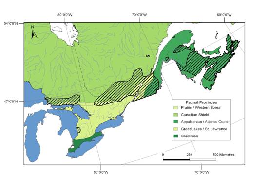 Figure 3. Distribution of the Wood Turtle (see Fig. 2) in relation to the Faunal Provinces of Terrestrial Amphibians, Reptiles, and Molluscs in Canada
