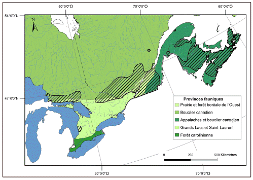 Figure 3. Aire de répartition de la tortue des bois (voir la figure 2) par rapport aux provinces fauniques des amphibiens, des reptiles et des mollusques terrestres au Canada