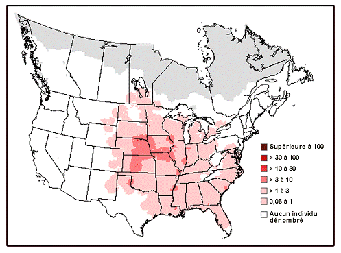 Figure 2.&nbsp; Abondance relative du Pic à tête rouge en Amérique du Nord issue du Relevé des oiseaux nicheurs de&nbsp;l’Amérique du Nord (source : Sauer et al., 2005).
