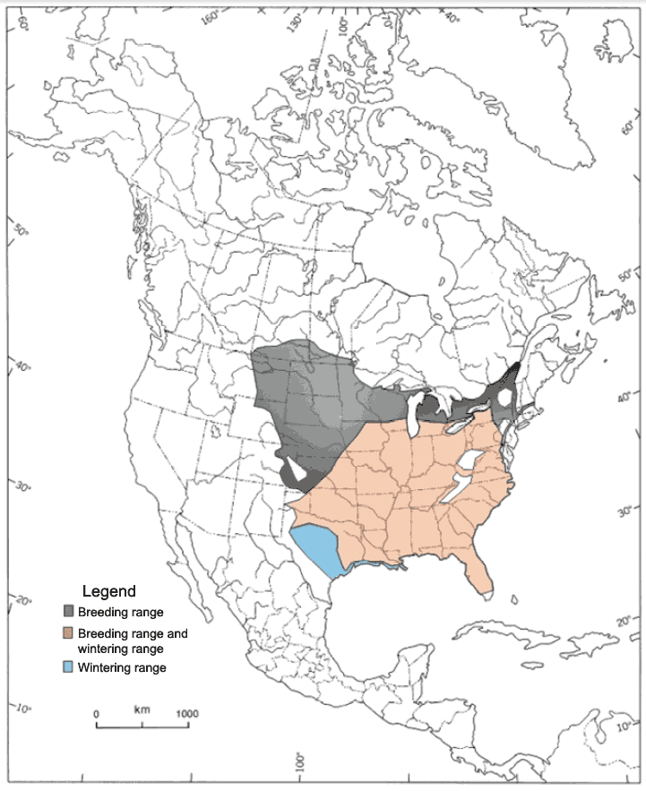 Figure 1. &nbsp;Distribution of the Red-headed Woodpecker in North America, from Smith et al. (2000) (Legend: ¨&nbsp;breeding range,¨breeding and wintering range,¨wintering range)