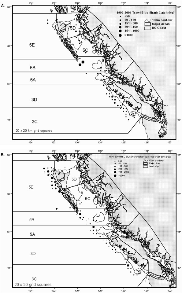Figure 12: Distribution of blue shark catches between 1996-2004 in commercial groundfish trawl and hook and line fisheries.