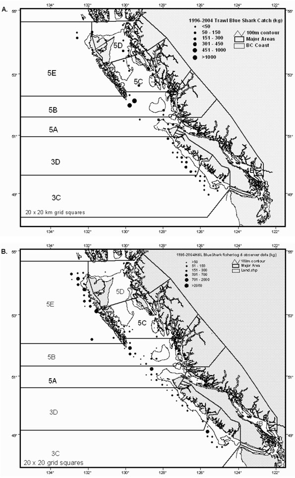 Figure 12: Distribution of blue shark catches between 1996-2004 in commercial groundfish trawl and hook and line fisheries.