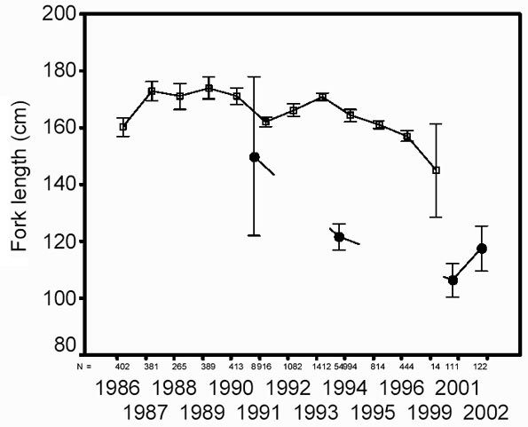 Figure 22: Trend in mean fork length (± 95% CI) of blue sharks caught in fall and winter in Japanese and Canadian pelagic longline fisheries, as observed by the International Observer Program.