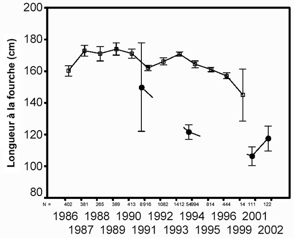 Figure 22 : Tendance de la taille moyenne à la fourche (IC ±95 p. 100) des requins bleus capturés en automne et en hiver dans les pêches japonaises et canadiennes de poissons pélagiques à la palangre.