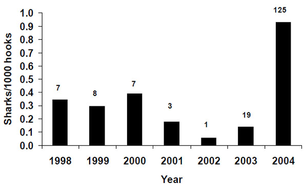 Figure 23: Catch rate of blue shark in IPHC set surveys in Area 2B from 1998-2004