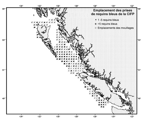 Figure 6 : Emplacement des prises de requins bleus (n = 170) dans les relevés de mouillage de la Commission internationale du flétan du Pacifique (CIFP) dans la zone 2B, de 1998 à 2004.