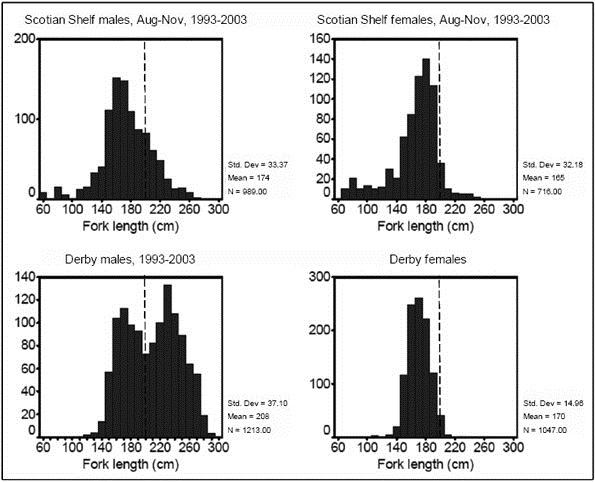 Figure 8: Length frequency distributions of blue sharks examined at shark derbies and measured by observers in the commercial catch on the Scotian Shelf between 1993-2003 over the same range of months and years.