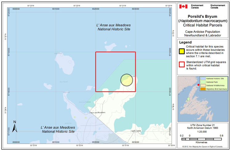 Figure A10: See long description below.