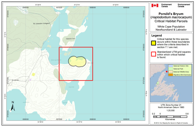 Figure A11: See long description below.