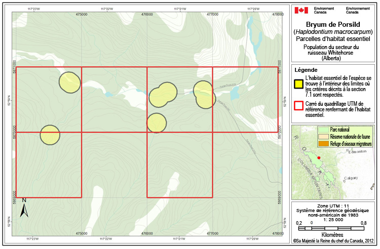 Dans le secteur du ruisseau Whitehorse (Alberta)