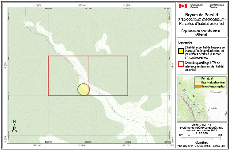 Au parc Mountain (Alberta)