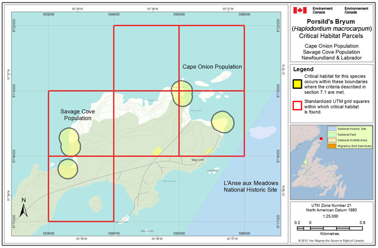 Figure A9: See long description below.