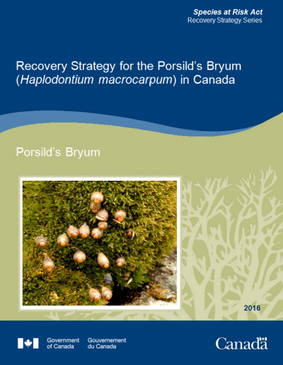 Cover Photo: Porsild's Bryum