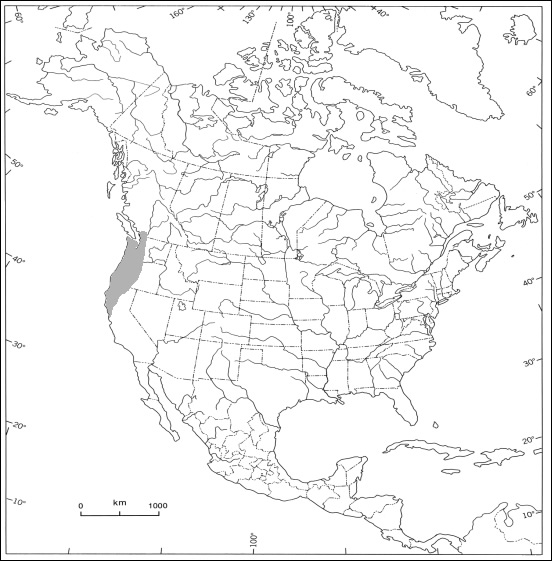 La figure 1 présente l'aire de répartition de la musaraigne de Bendire, que l'on retrouve le long de la côte ouest de l'Amérique du Nord, du centre de la Californie jusqu'au sud de la Colombie-Britannique.