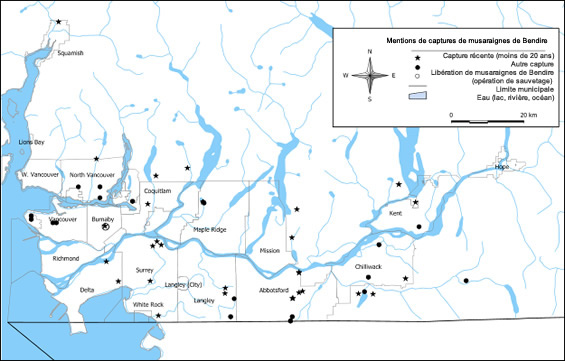 La figure 2 montre l'emplacement des données de capture de la musaraigne de Bendire au sud de la Colombie-Britannique.