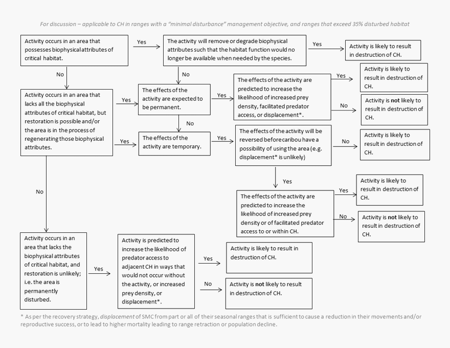 Flowchart critical habitat destruction(see long description below)