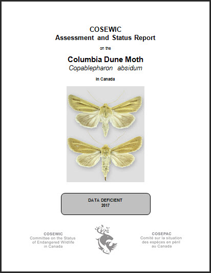 COSEWIC Assessment and Status Report on the Blanding’s Turtle