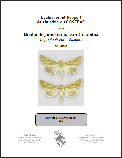 Évaluation et rapport de situation du COSEPAC sur le Noctuelle jaune du bassin Columbia