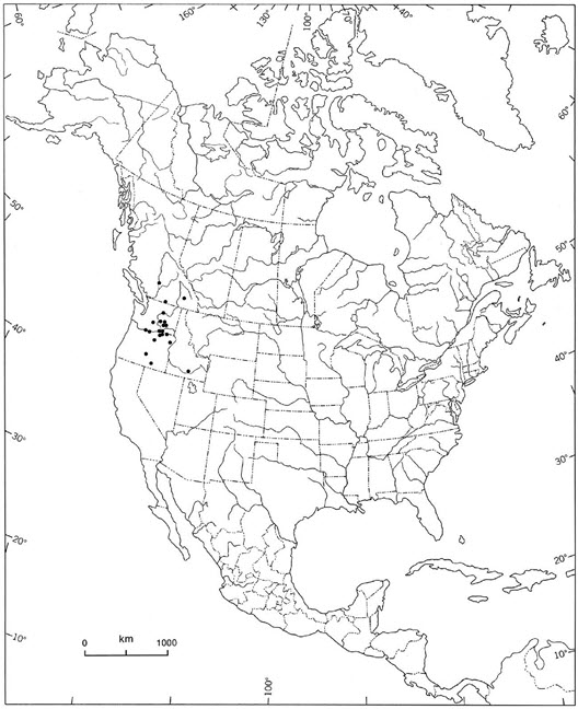 Distribution of the Columbia Dune Moth in  North America.