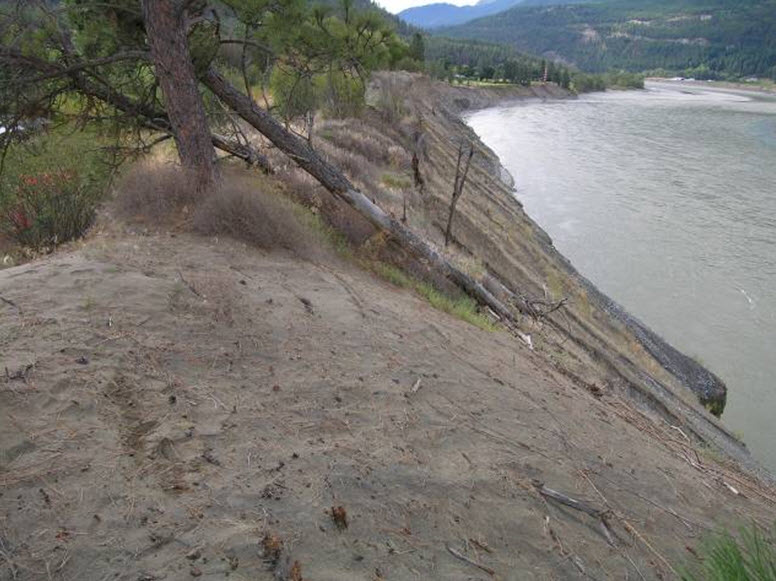 Habitat  at sites trapped around Lillooet, BC sampled September 4 - 5, 2005
