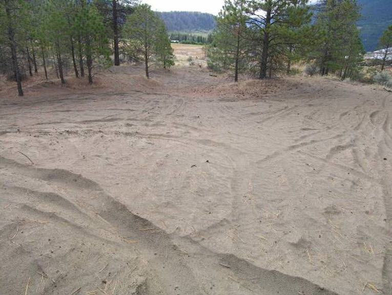 Habitat  characteristics in sites trapped around Lillooet