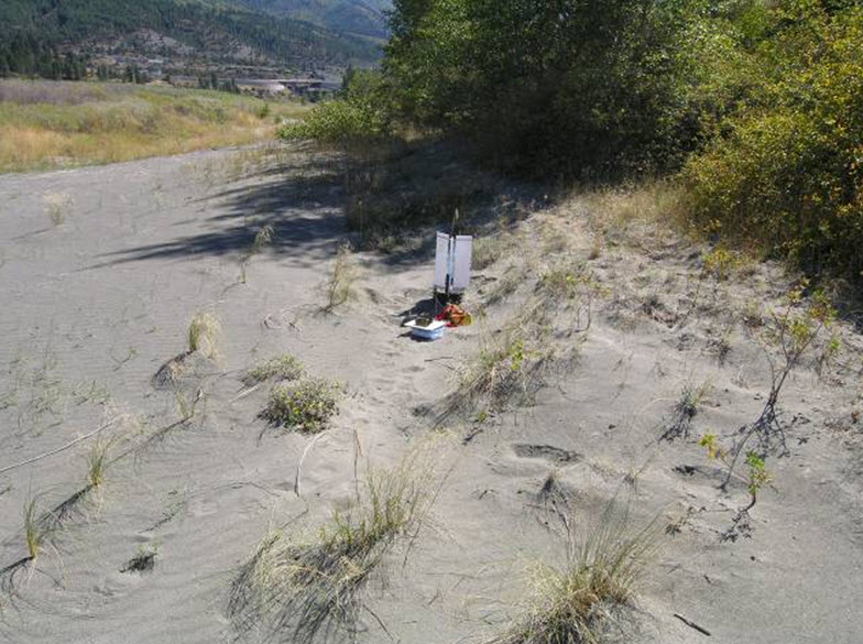 Habitat  characteristics in sites trapped around Lillooet
