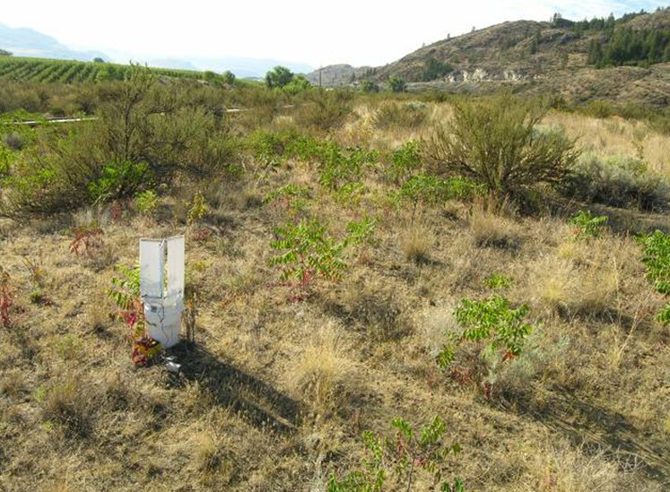 Habitat  characteristics in sites trapped around Osoyoos.