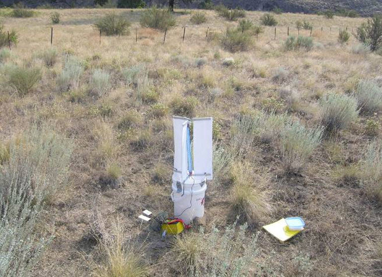 Habitat  characteristics in sites trapped around Osoyoos, BC, Haynes Lease Ecological  Reserve. August 25 - 26, 2005.