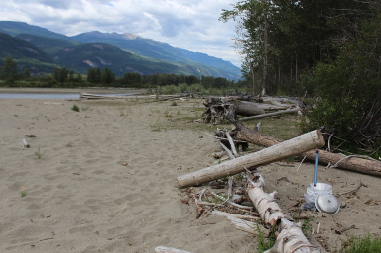 Habitat  characteristics in sites trapped at the north end of Kootenay Lake (near Kaslo)  August 25, 2016.