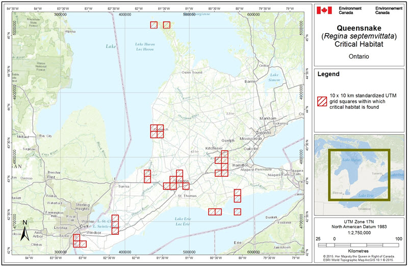 Grid squares that contain critical habitat