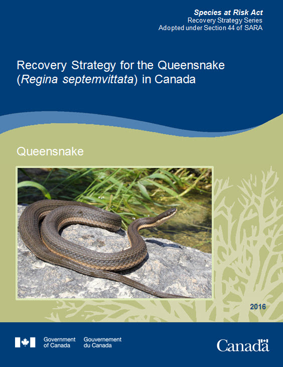 Recovery Strategy for for the Queensnake