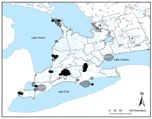 Map showing distribution of Queensnake in southern Ontario