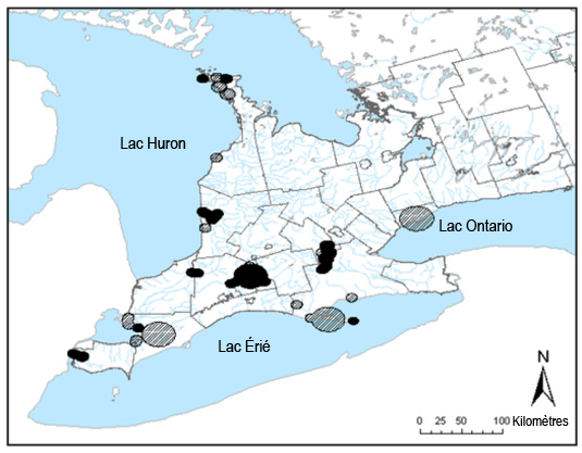 Répartition de la couleuvre royale dans le sud de l'Ontario