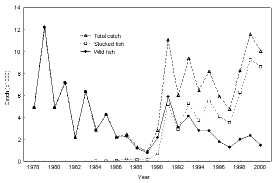 Figure 4.  Catch of lake whitefish during the fall index trap netting program at the North Georgina andStrawberryIsland spawning shoals in Lake Simcoe, 1978 to 2000.