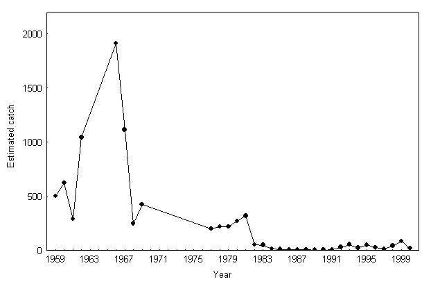 Figure 5.  Estimated catch of lake whitefish during fall index trap netting on Lake Simcoe from the period of October 15th to the 26th at StrawberryIsland, 1959 to 2000.