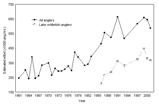 Figure 7. Estimated angling effort during the winter fishery onLake Simcoeadjusted to a 50-day season, 1961 to 2001.