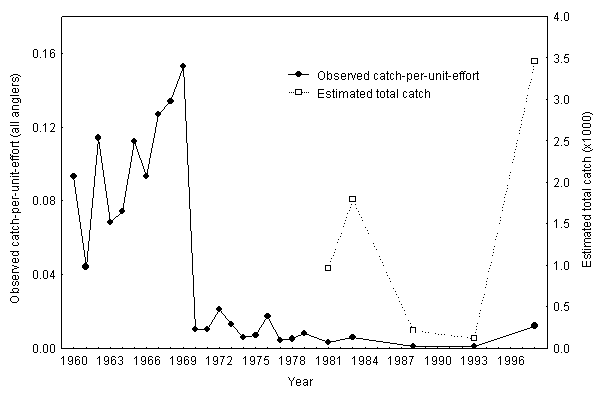 Figure 8.  Observed catch per unit effort and estimated catch of lake whitefish during the summer fishery on Lake Simcoe, 1960 to 1998.