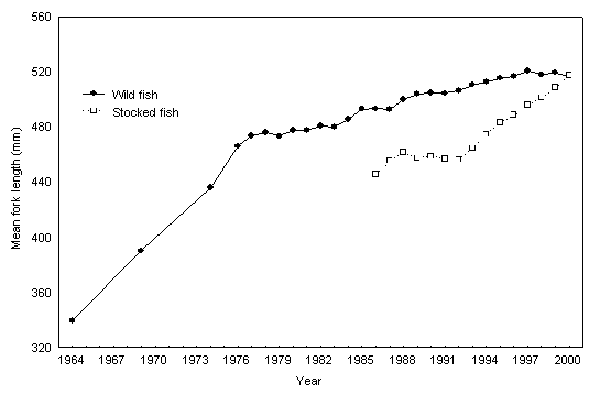 Figure 10.  Mean fork length of Lake Simcoelake whitefish captured during fall index trap netting. Data from 1976 to 2000 include fish captured at the North Georgina and Strawberry Island spawning shoals. Data from 1964, 1969, and 1974 include fish captured from all sites.