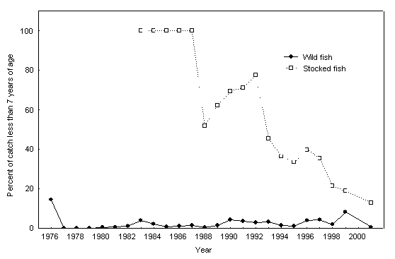 Figure 12. Proportion of lake whitefish assessed as less than seven years of age in the catch at the North Georgina and StrawberryIslandspawning shoals during fall index trap netting, 1976 to 2001.