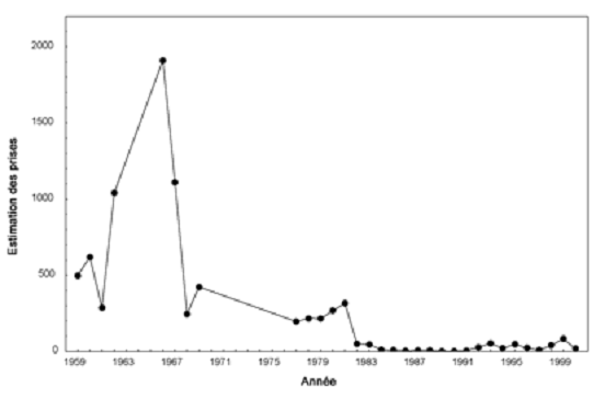 Figure 5. Nombre estimé de prises de grands corégones à la pêche indicatrice à la trappe de l’automne  l’île Strawberry, dans le lac Simcoe, entre le 15 et le 26 octobre, de 1959 à 2000.