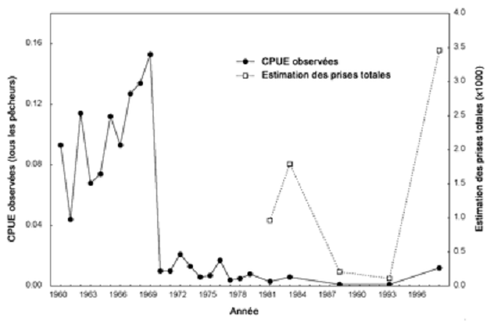 Figure 8. Nombre de captures par unité d'effort et nombre estimé de prises de grands corégones pendant la pêche estivale dans le lac Simcoe, de 1960 à 1998.