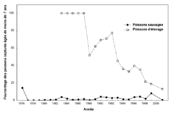 Figure 12. Proportion de grands corégones dont l'âge a été évalué à moins de sept ans dans les priseseffectuées sur les frayères de Georgina Nord et de l’île Strawberry pendant la pêche indicatrice à la trappe d’automne,de 1976 à 2001.