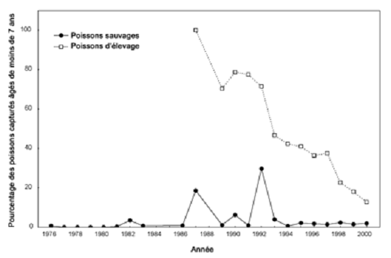 Figure 13. Proportion de grands corégones dont l'âge a été évalué à moins de sept ans dans la pêche hivernale, de 1976 à 2000.