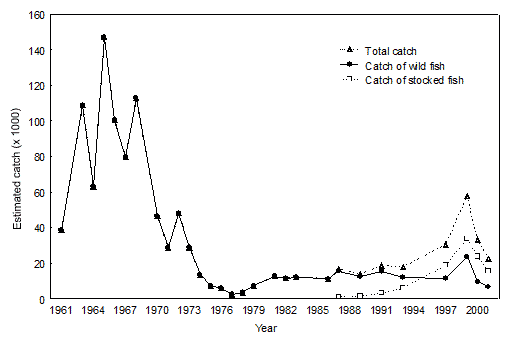 Figure 6. Estimated catch of lake whitefish during the winter fishery on Lake Simcoe adjusted to a 50-day season, 1961 to 2001.