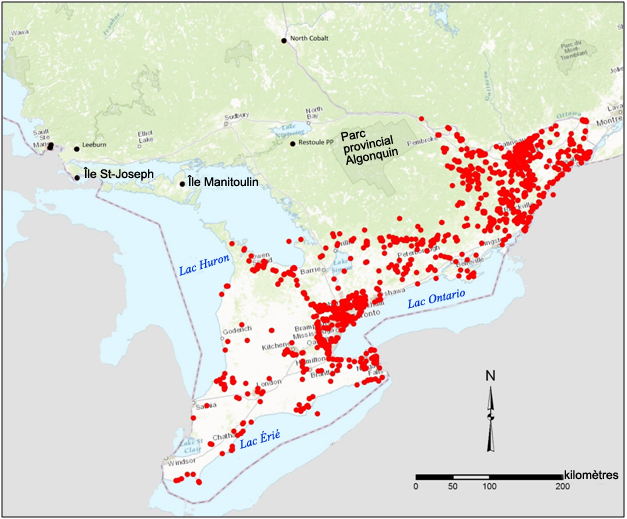 Mentions  d’observation du noyer cendré en Ontario compilées dans la base de données du  CIPNO.