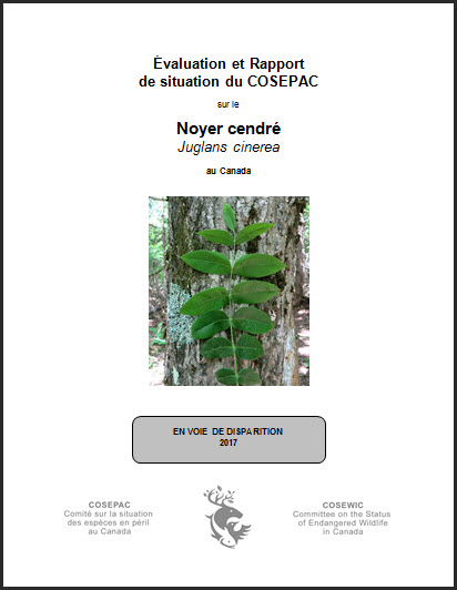 Évaluation et rapport de situation du COSEPAC sur le Noyer  cendré au Canada, 2017