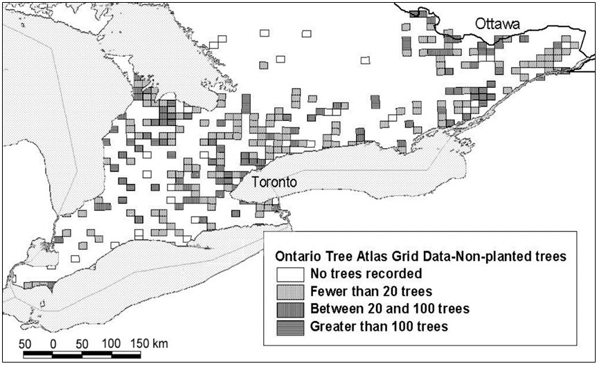 Ontario Tree Atlas data for non-planted  Butternut.