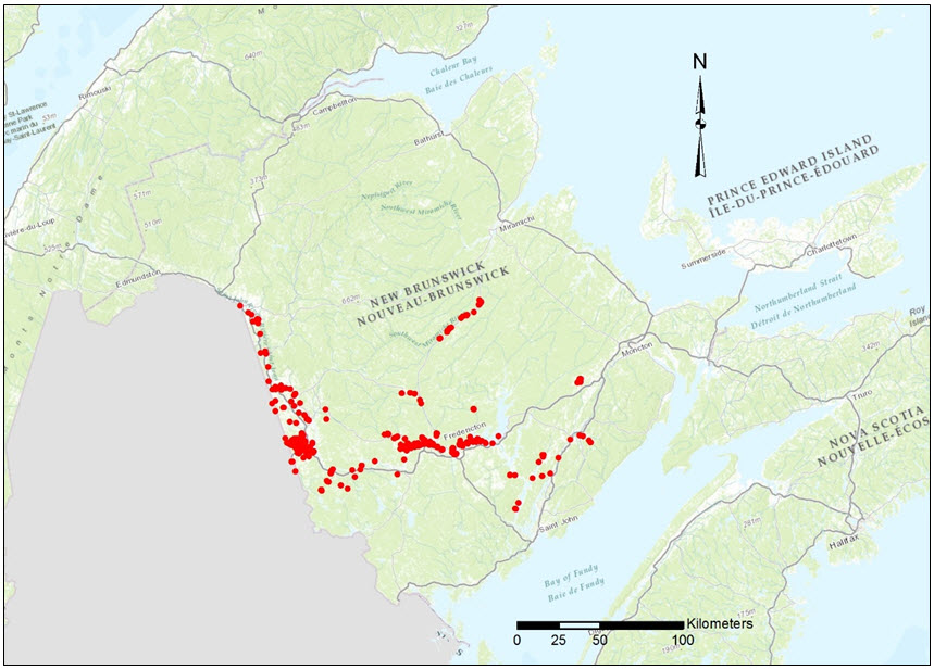 New Brunswick Butternut observation records  compiled in the AC CDC (2016) database and documented through Canadian Forest  Service fieldwork